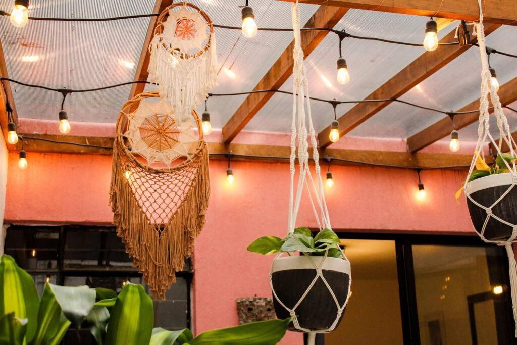 New Mex Inspired Bo-Ho Chic Apartment With Private Patio And Roof Terrace Мехико Экстерьер фото